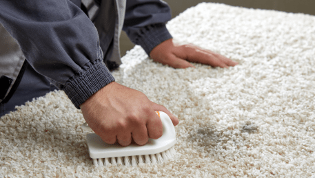 Professional Rug Cleaning Mount Pleasant