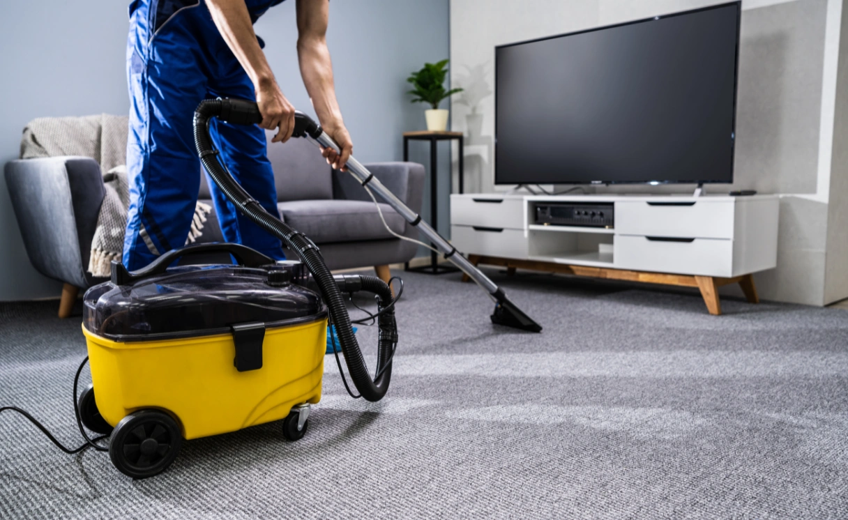 Extract Rug Cleaning Mount Pleasant Contact Office